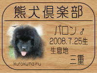 �I�[�i�[�́A�p�Y�[�Ƃ���ł���